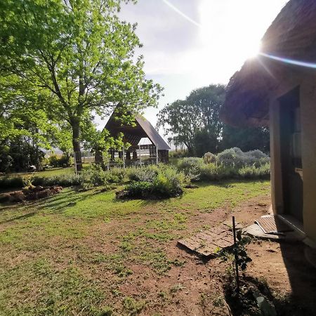 Drakensberg Bush Lodge And Backpackers Winterton Eksteriør billede