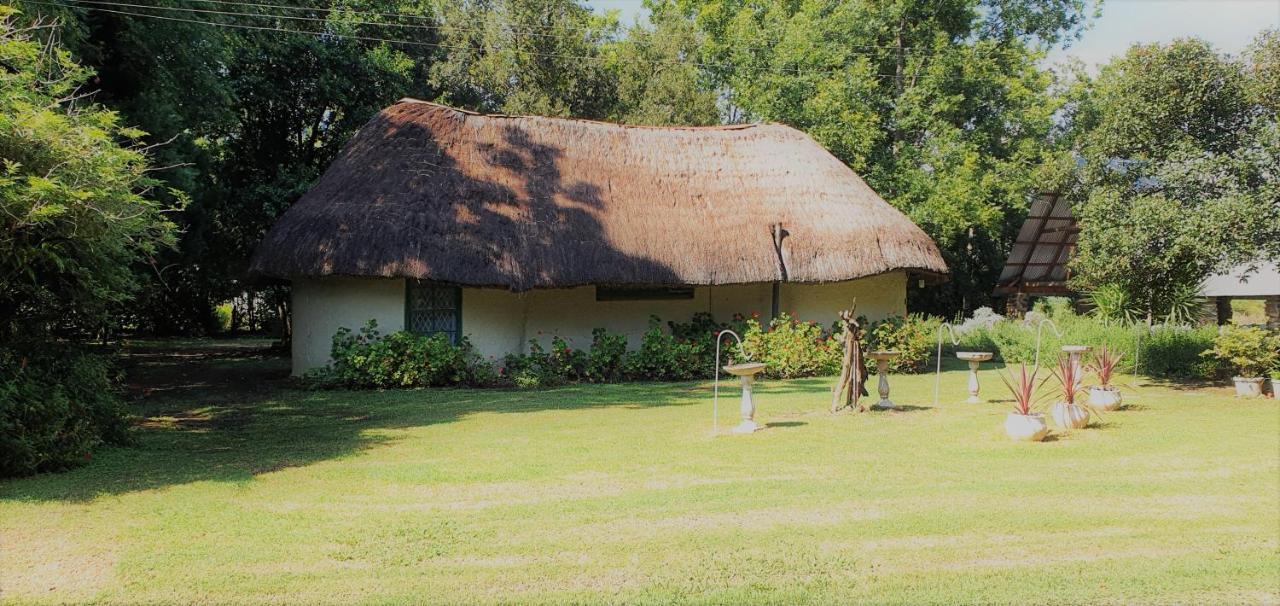 Drakensberg Bush Lodge And Backpackers Winterton Eksteriør billede